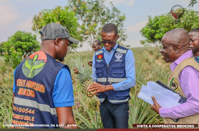 Imagem WhatsApp 2025-08-20 às 19.47.58_86be49f3